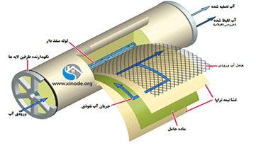 همه چیز درباره 